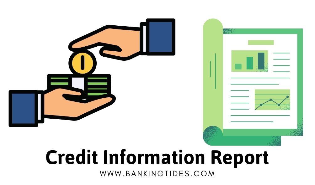 Data Format Credit Information Report